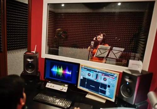 Acoustic Treatment & Soundproofing