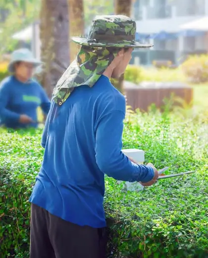 Affordable commercial gardening services in Dhaka