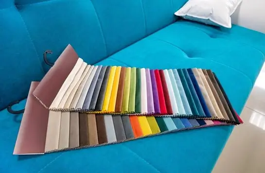 Color and theme
