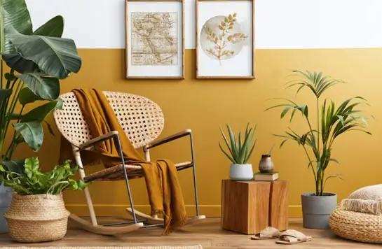Decor and accessories