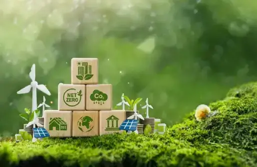 Eco-Friendly Elements
