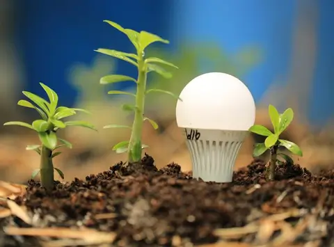 Energy-saving lights