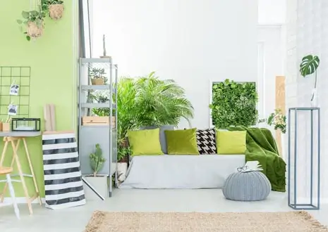  Green & Eco-Friendly Elements