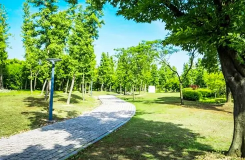 Healthy spaces