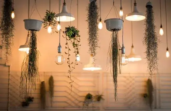 Lighting