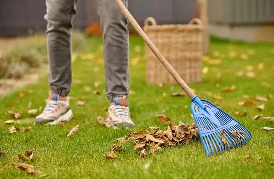 Seasonal Cleanups & Upgrades