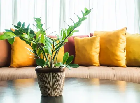 Sustainable design Practices