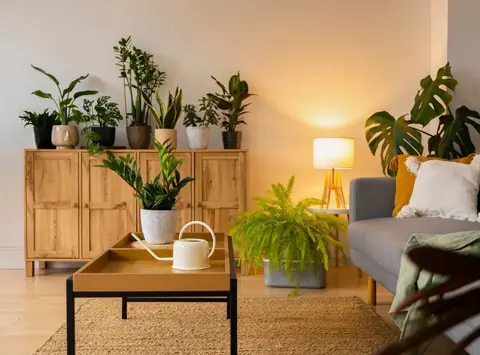 Sustainable & Eco-Friendly Flat Design