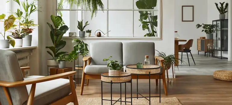  Sustainable interior design concepts for your home in Dhaka