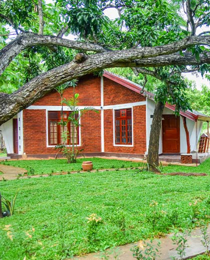 Village House Design Process