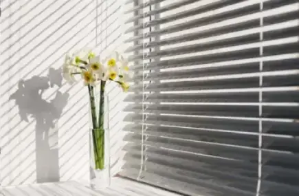 Window blinds